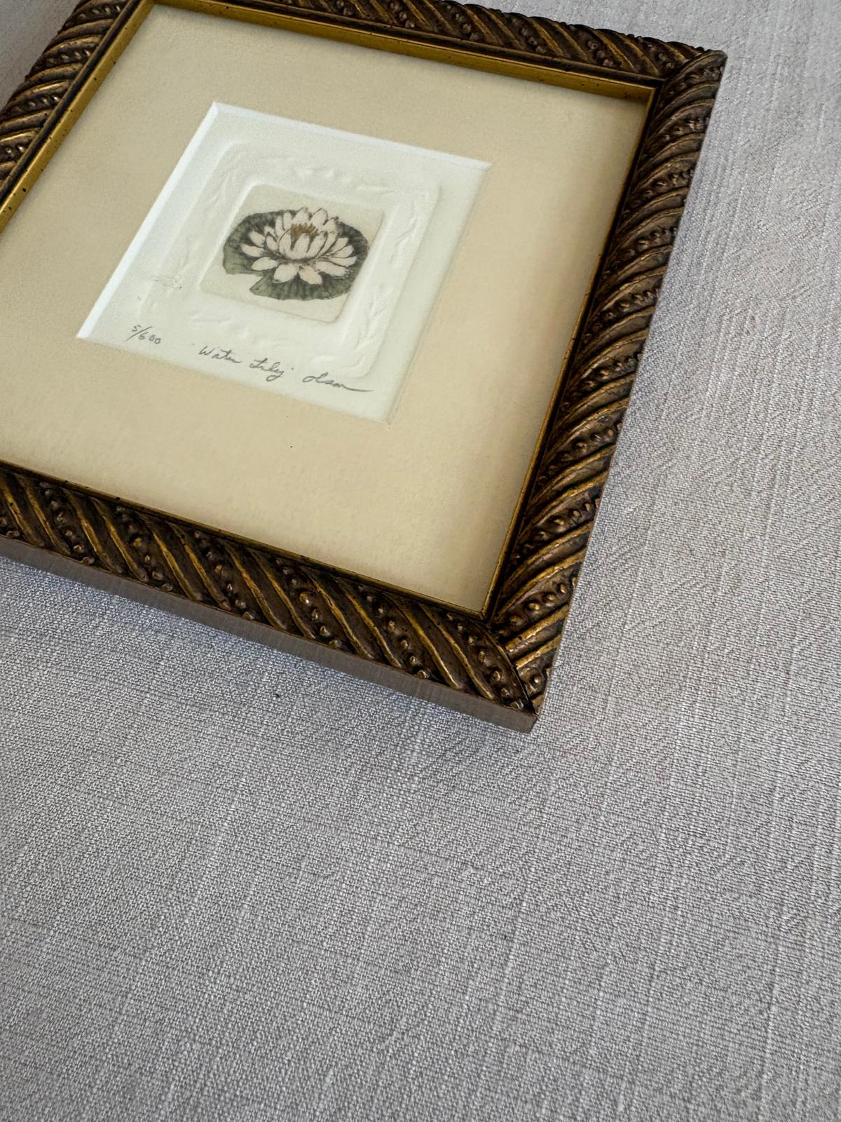 Framed Limited Edition Water Lily Etching 5/60