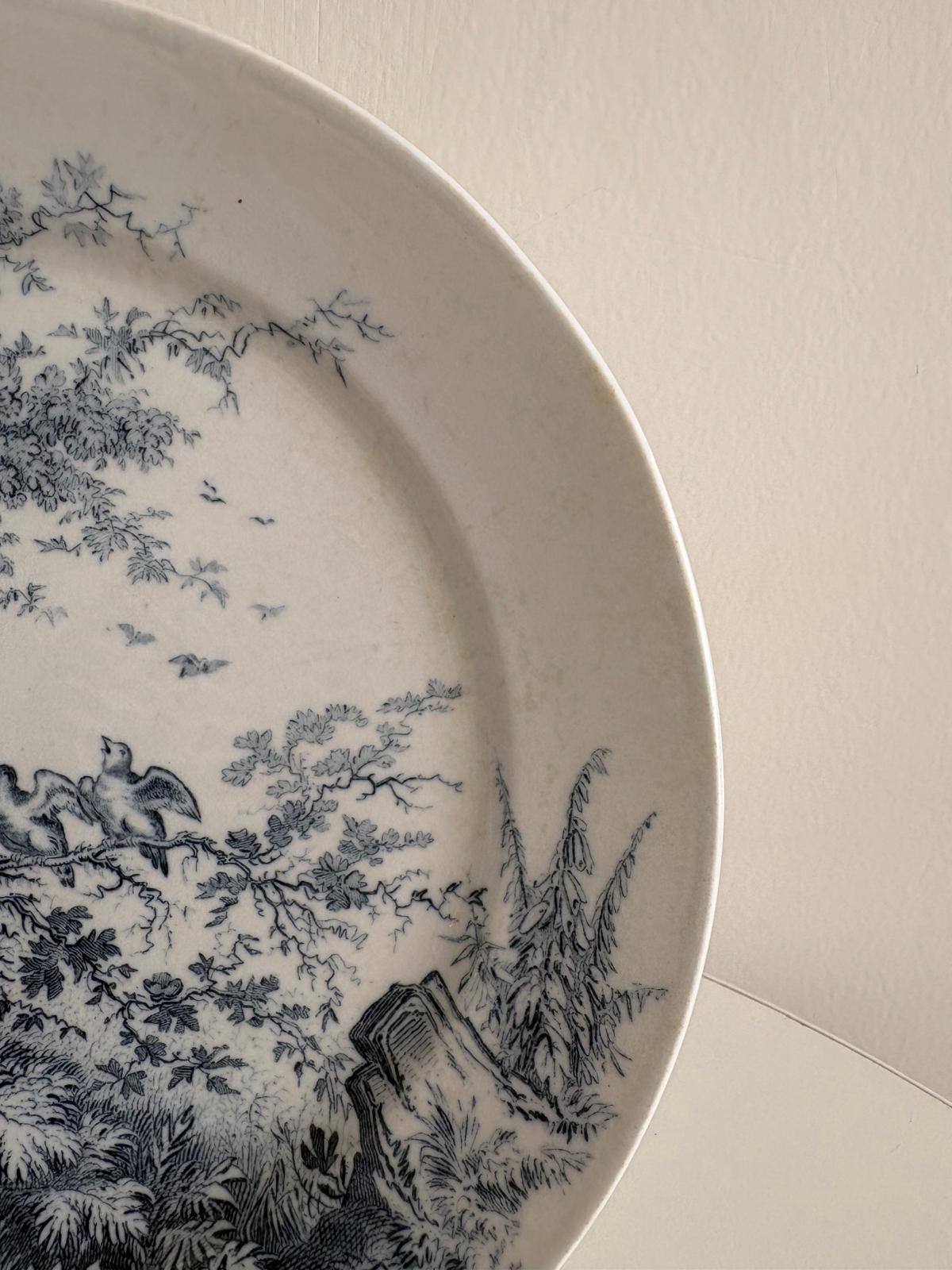 Antique Sarreguemines “Sylva” Plate Blue Transferware Sparrow Hatchlings Fence "C"