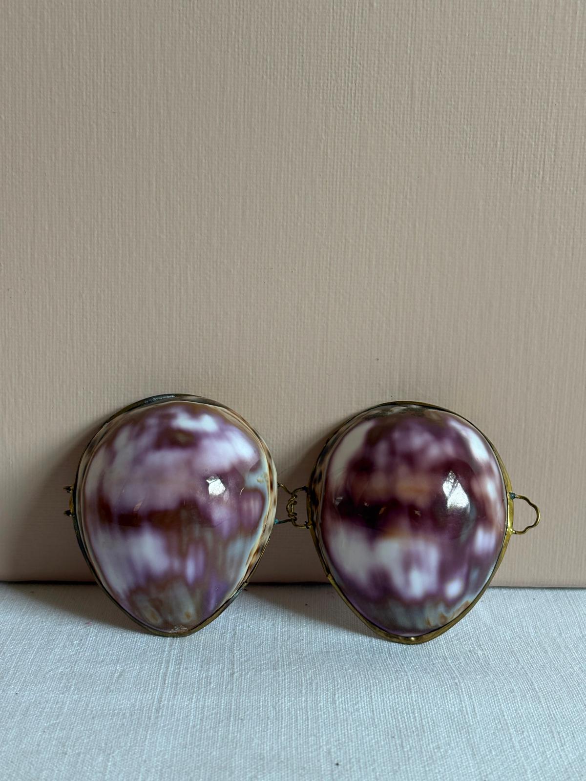 Cowrie Shell Hinged Trinket Box with Brass Mount