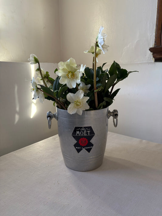 Moet & Chandon French Bottle Cooler