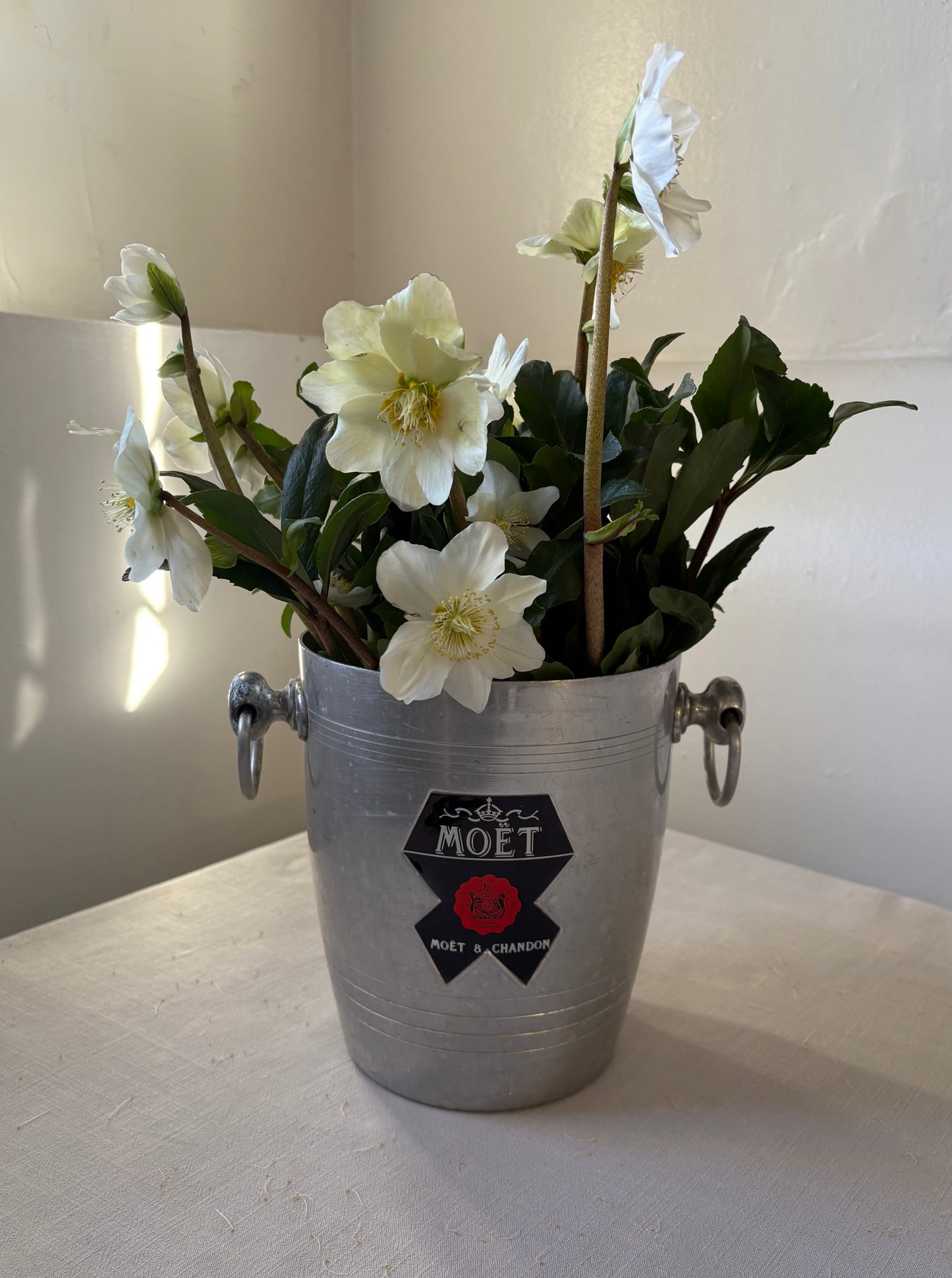 Moet & Chandon French Bottle Cooler