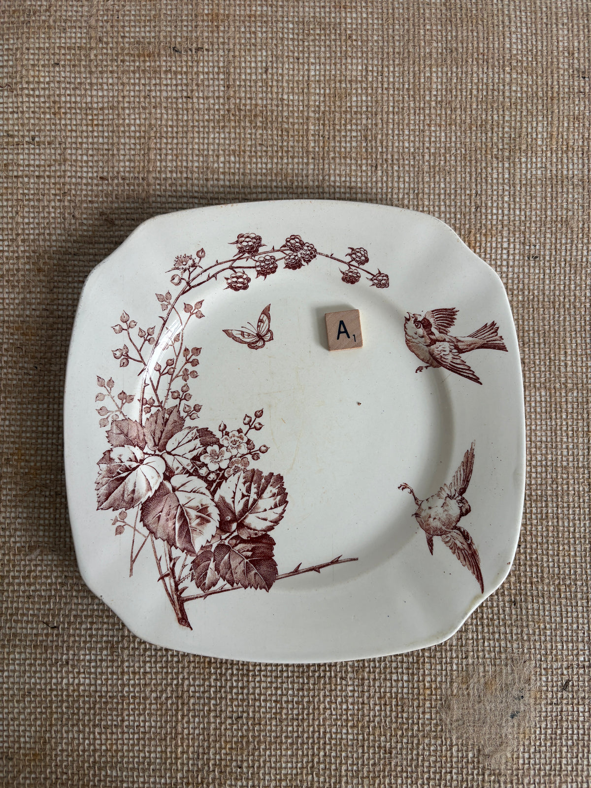 Antique French K&G Lunéville “Ronce” Plates "A" & "C"