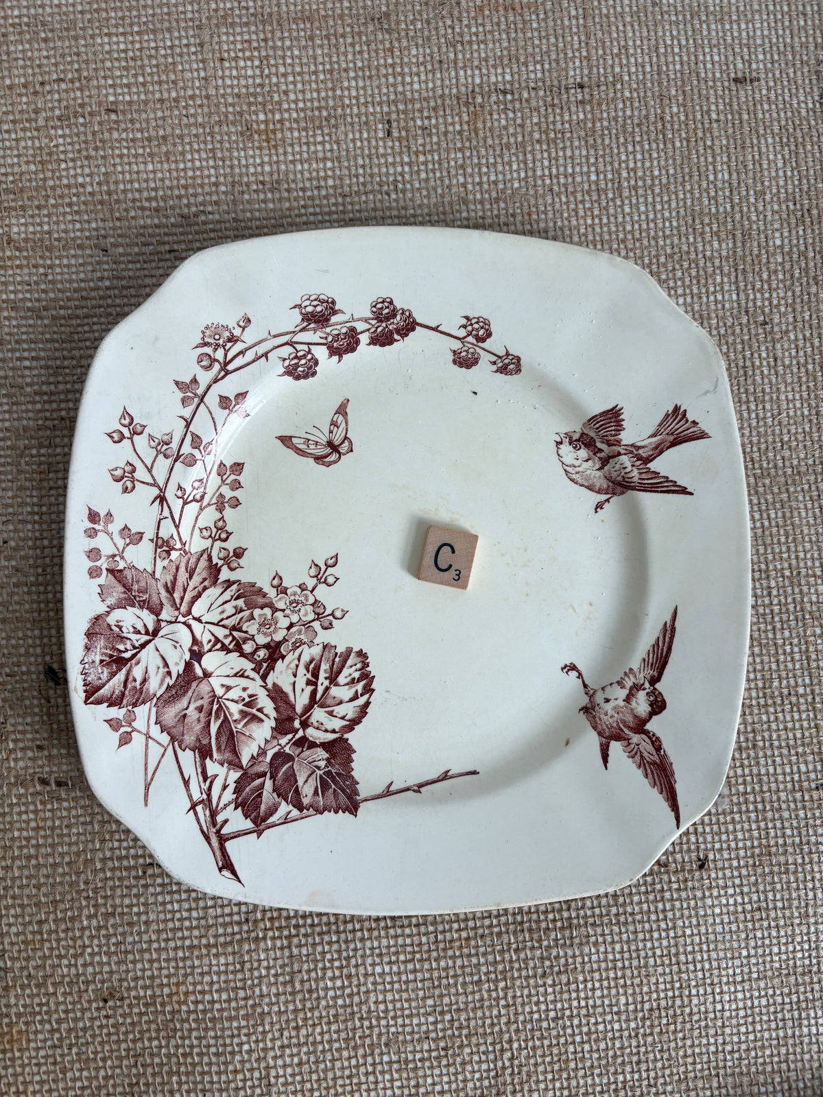 Antique French K&G Lunéville “Ronce” Plates "A" & "C"