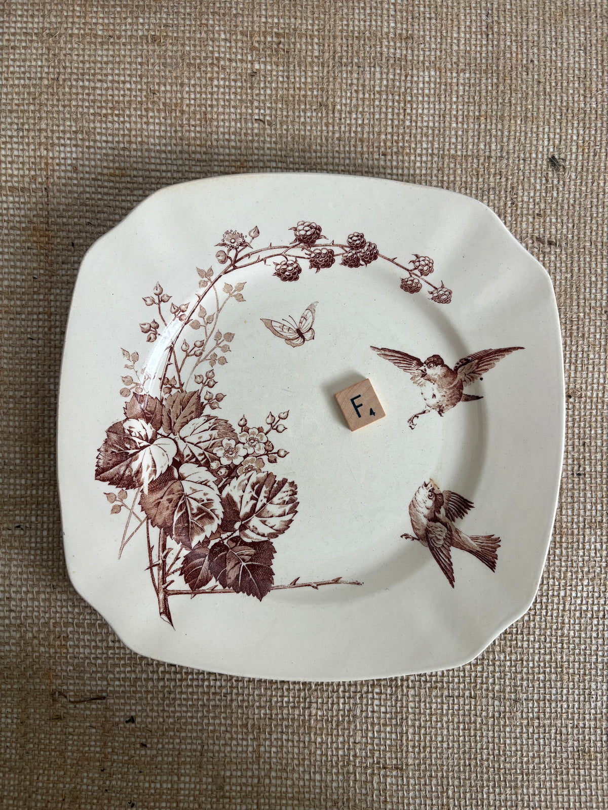 Antique French K&G Lunéville “Ronce” Plate "F"