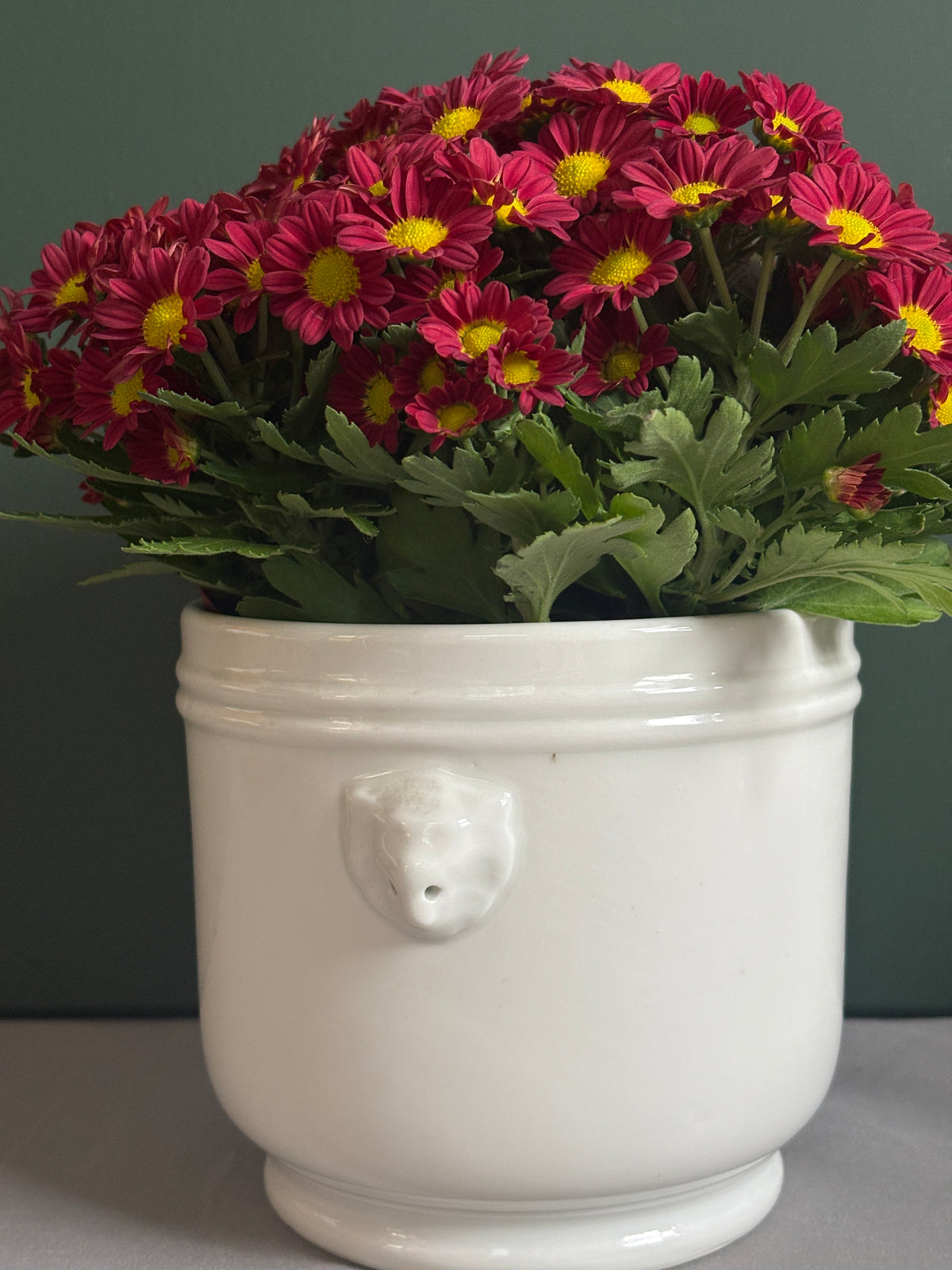 Vintage French Lions Head White Ironstone Cachepot - Collector & Curator