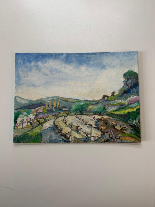 Paysage de vignes - Collector & Curator