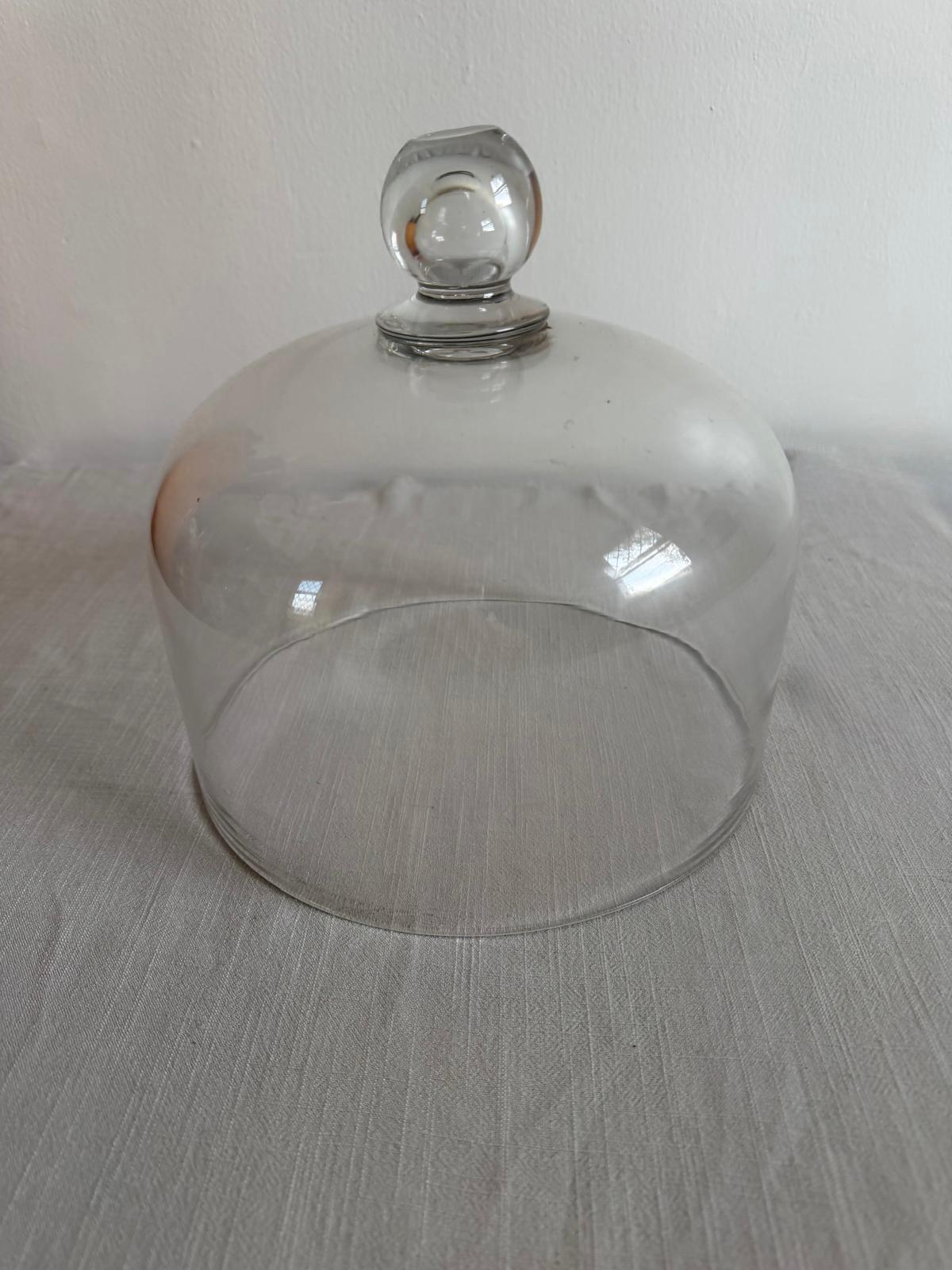 Antique French Glass Cloche Dome with Knob Handle, - Collector & Curator