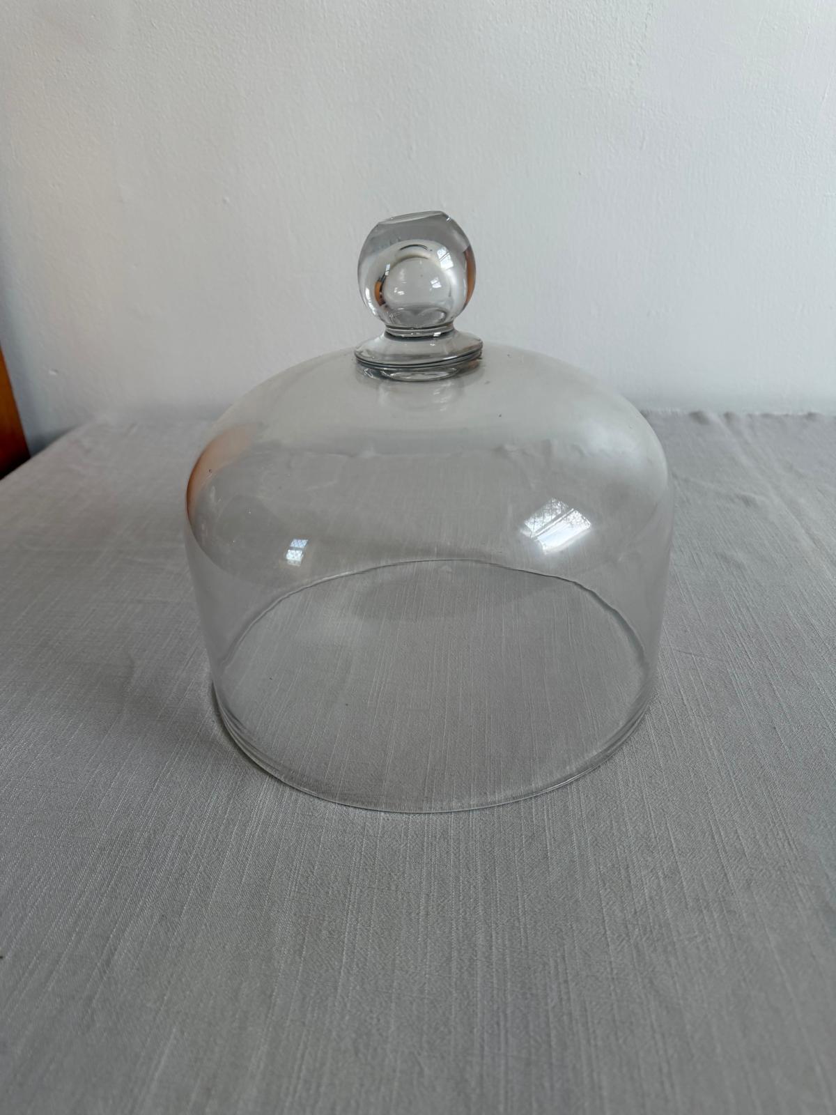 Antique French Glass Cloche Dome with Knob Handle, - Collector & Curator