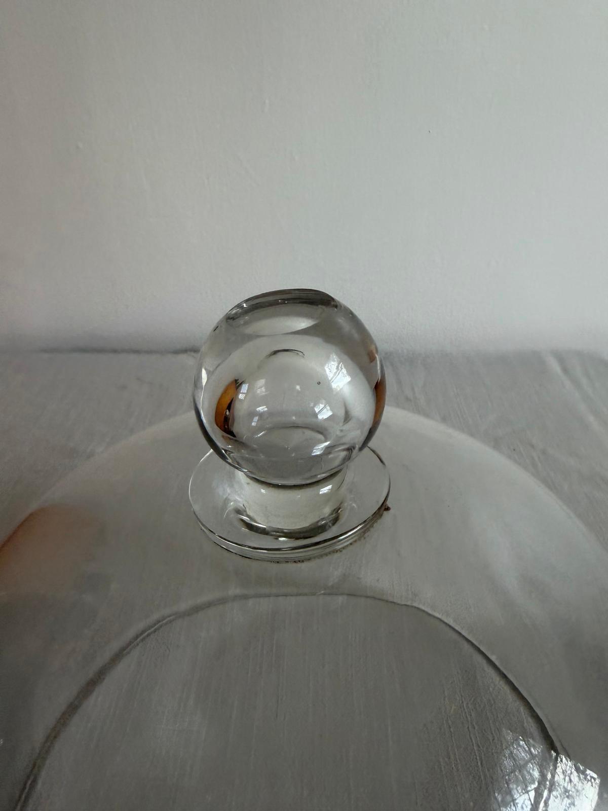 Antique French Glass Cloche Dome with Knob Handle, - Collector & Curator