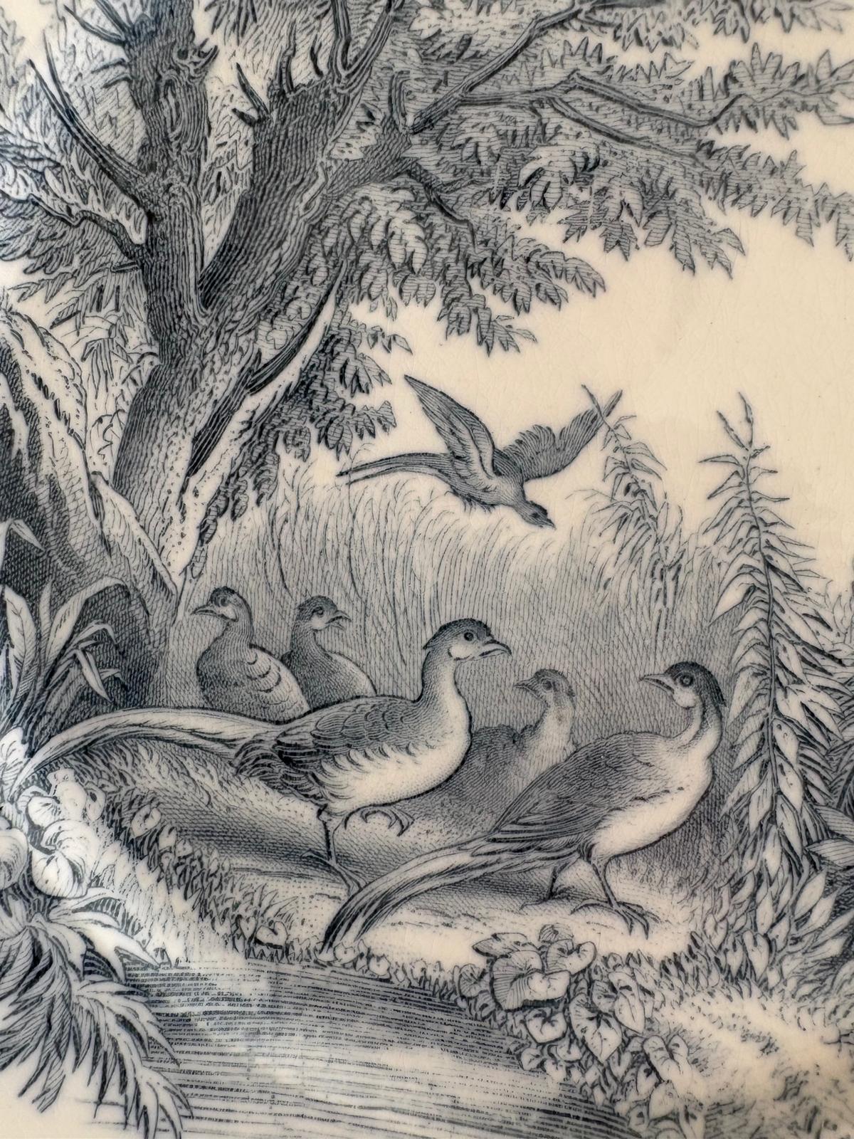 Antique Sarreguemines “Sylva” U&C Plate "A"  Pheasants - Collector & Curator