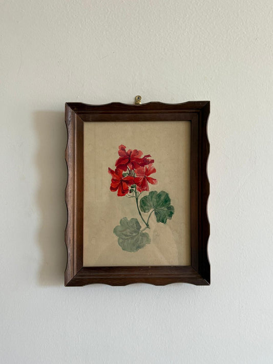 Vintage Framed Red Geranium Botanical Watercolor