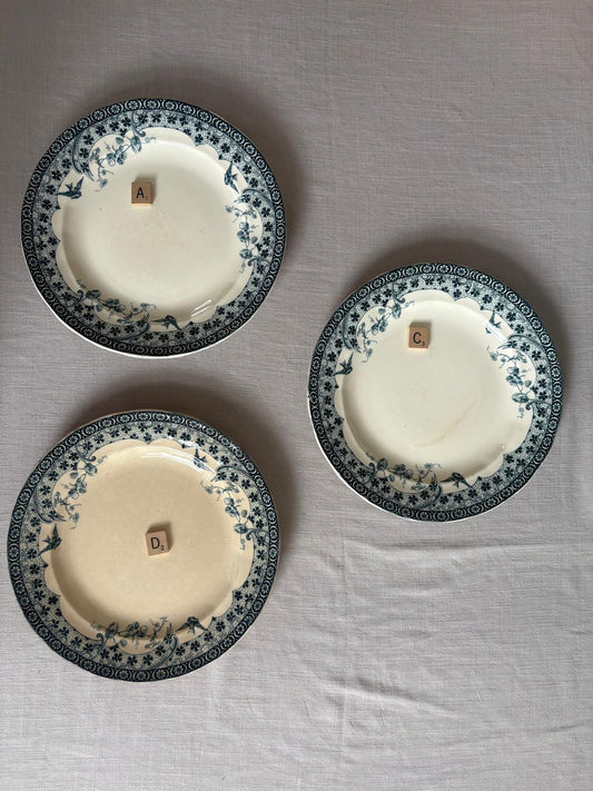 Alençon series by Choisy-le-Roi Plates A, C, D