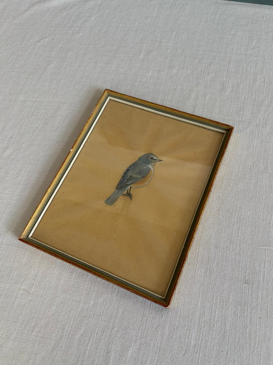 Vintage Framed Bird Study Watercolor Signed HO