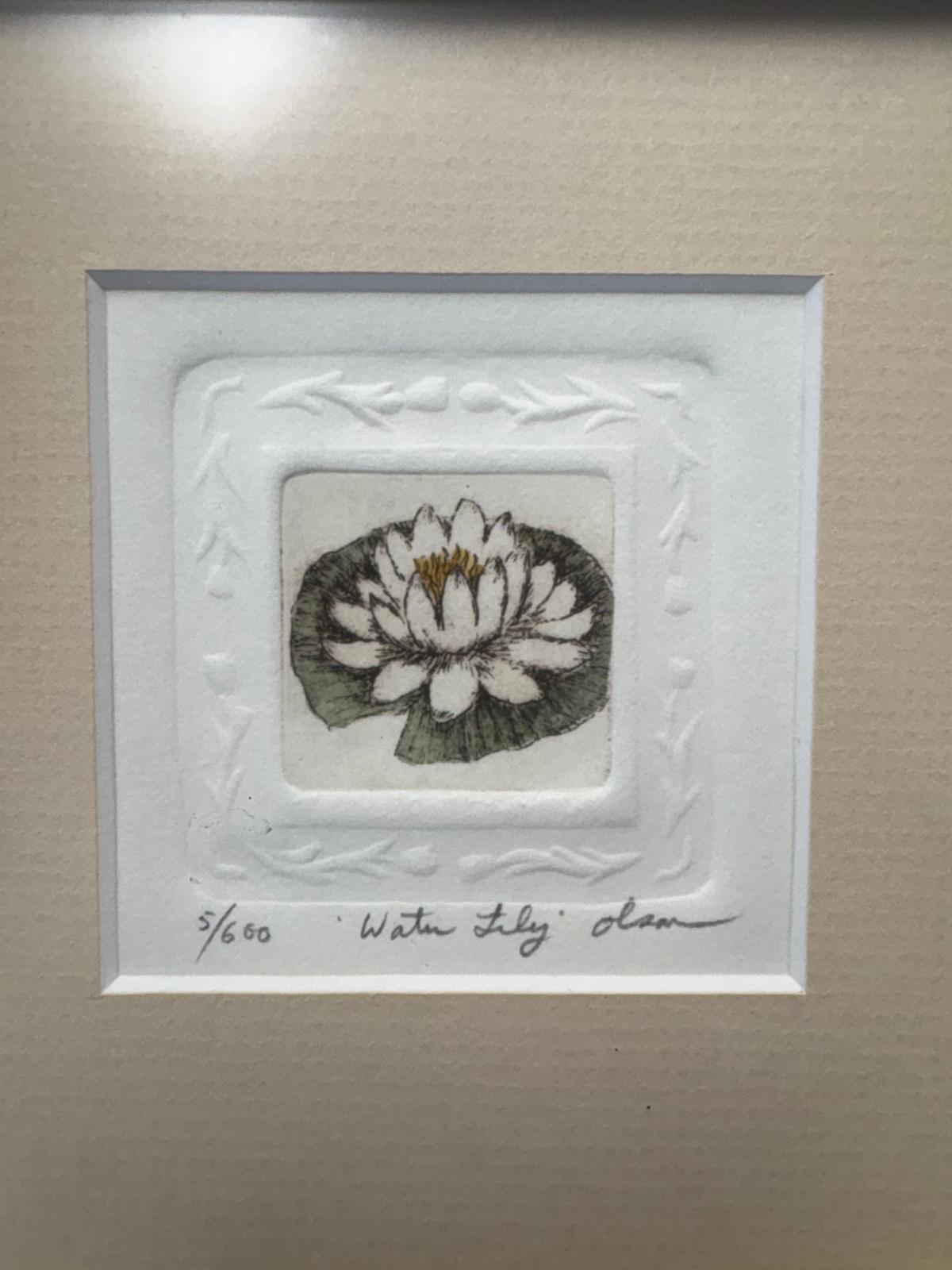Framed Limited Edition Water Lily Etching 5/60