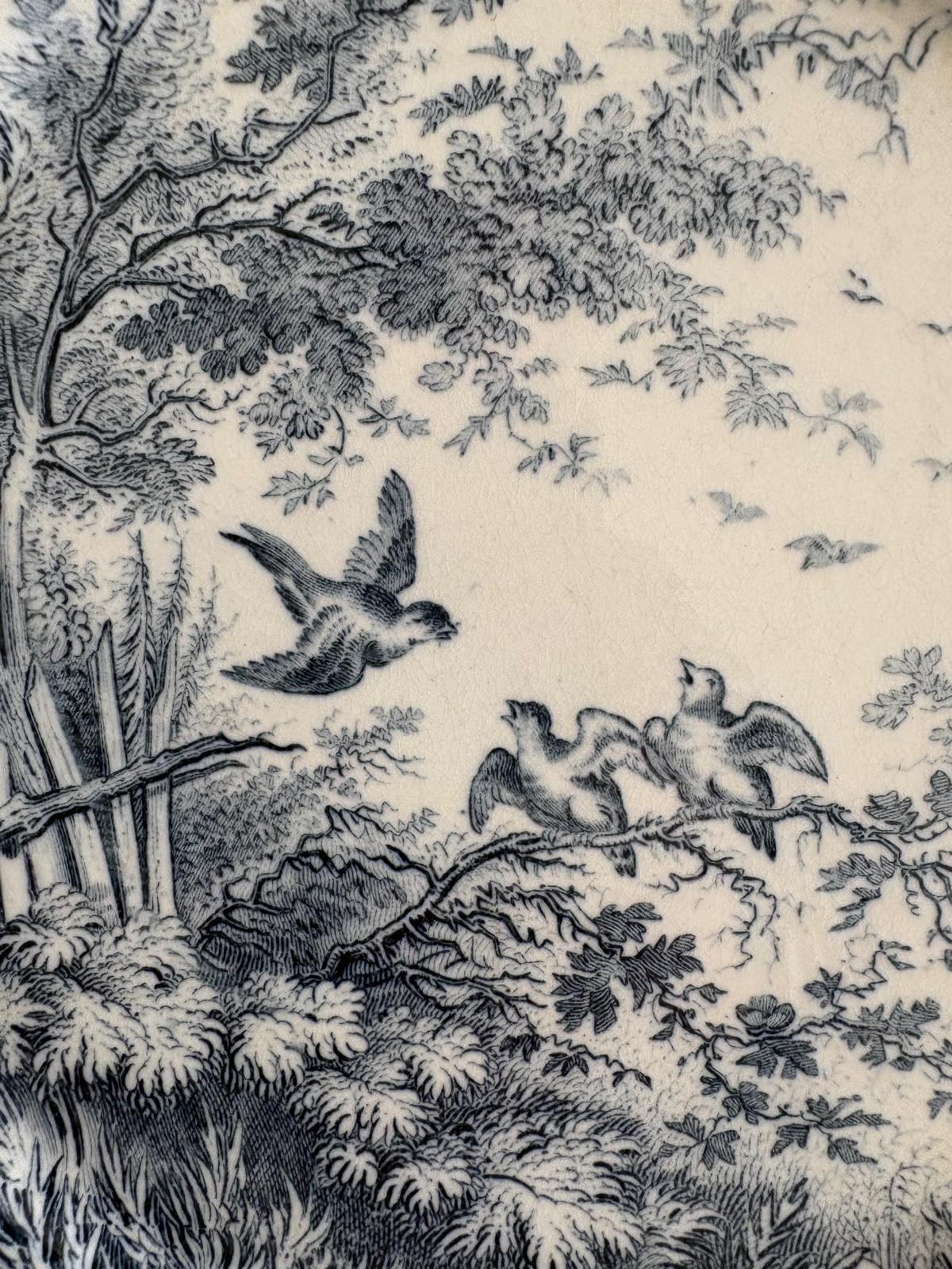 Antique Sarreguemines “Sylva”  Plate Blue Transferware  Sparrow Hatchlings  Fence "C"