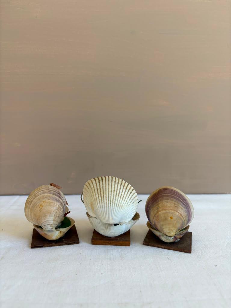 French Souvenir Jewelry Casket with Églomisé Eiffel,  Collector's Box with 5 Coral Fragments & 5 Shells , and Three Shell Sculpture