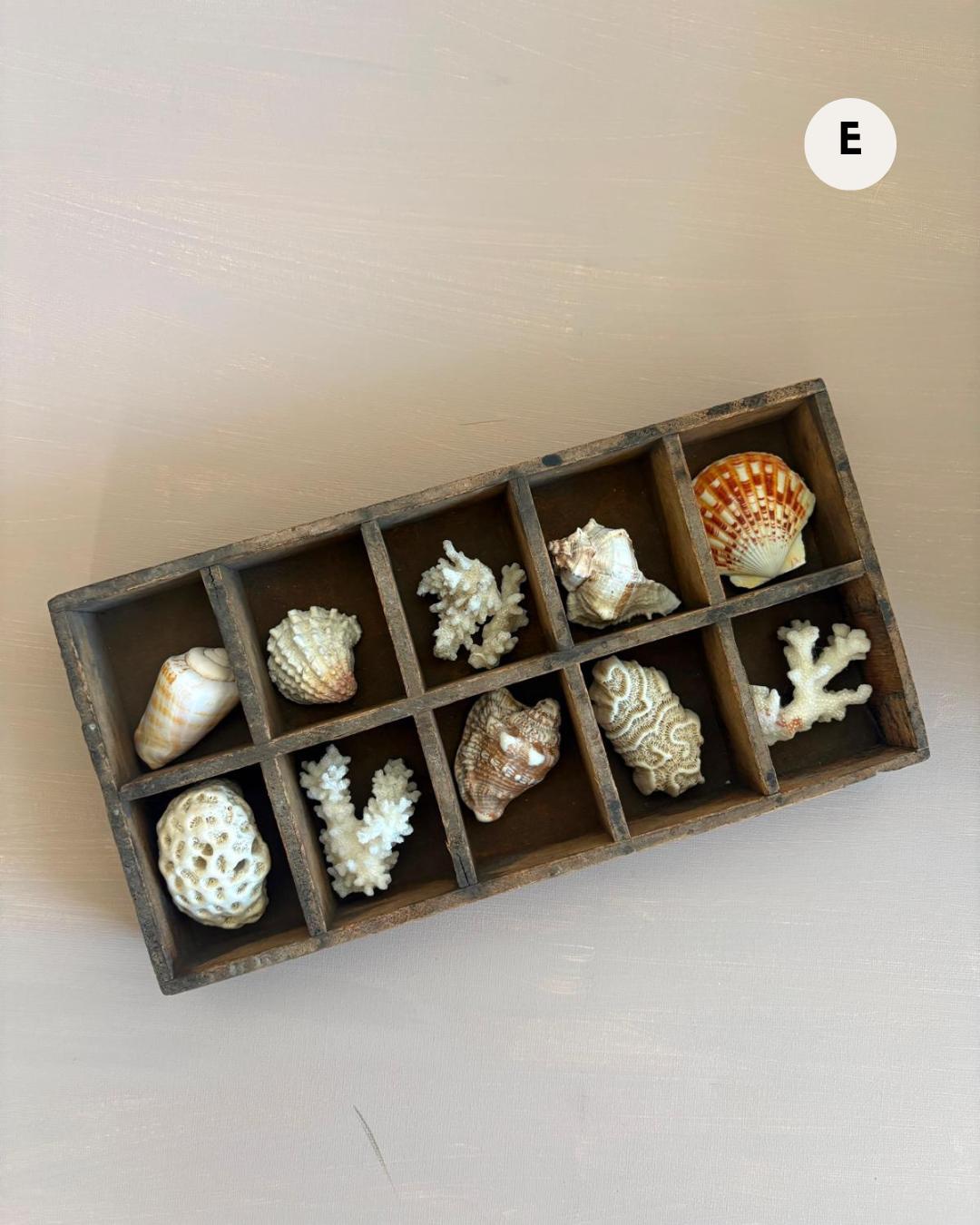 French Souvenir Jewelry Casket with Églomisé Eiffel,  Collector's Box with 5 Coral Fragments & 5 Shells , and Three Shell Sculpture