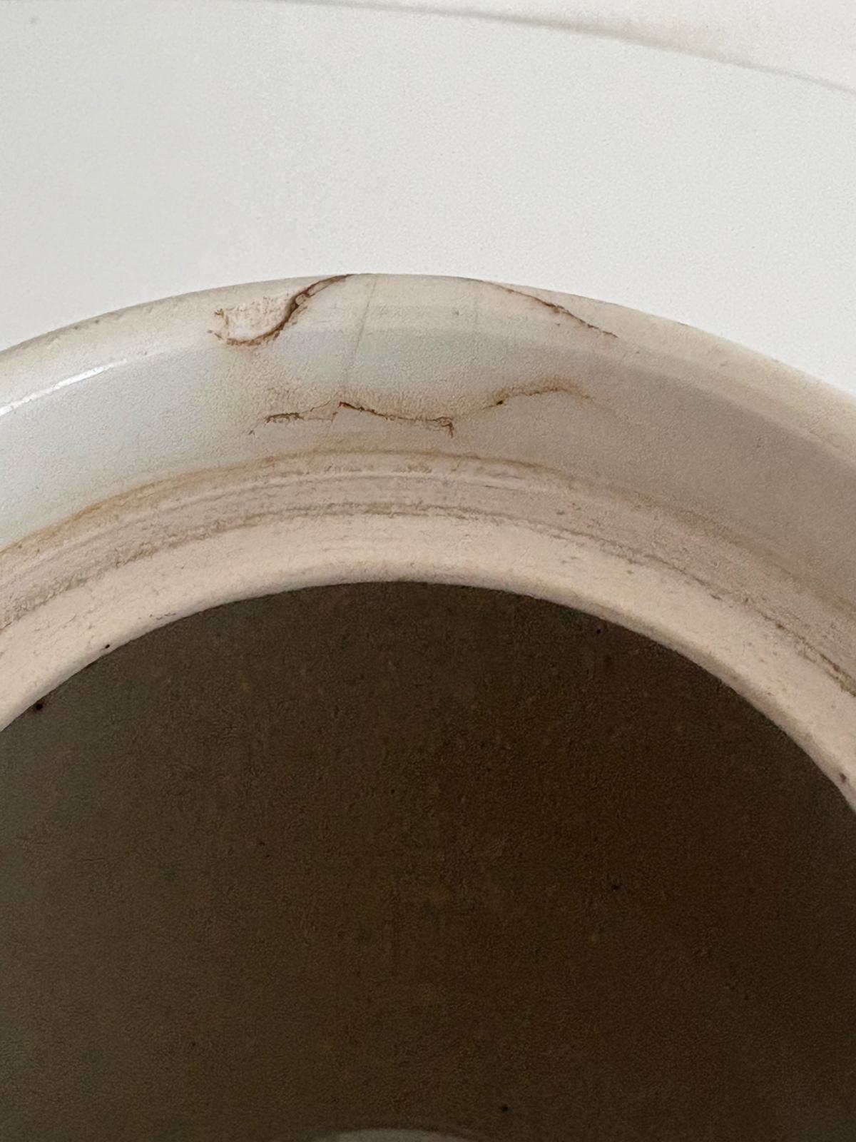 St Uze Soup Bowl - Collector & Curator