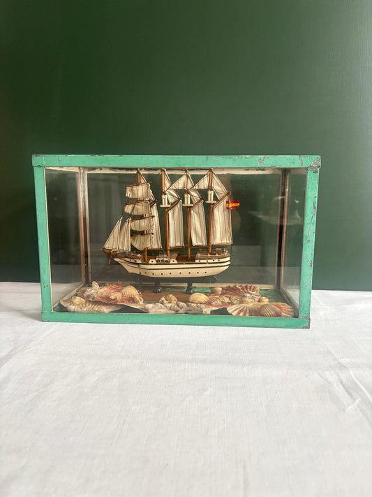 Vintage French Green Glass Aquarium turned Coastal Curio Cabinet - Collector & Curator