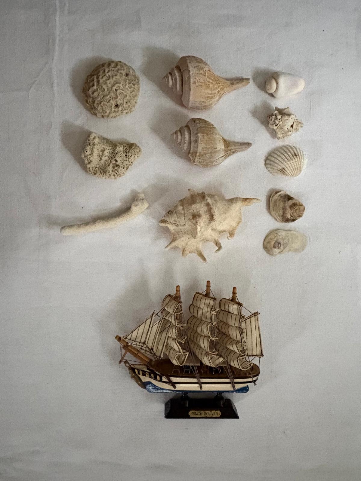 American Glass Battery Jar Display with  Simon Bolivar Model Ship & Shell Collection