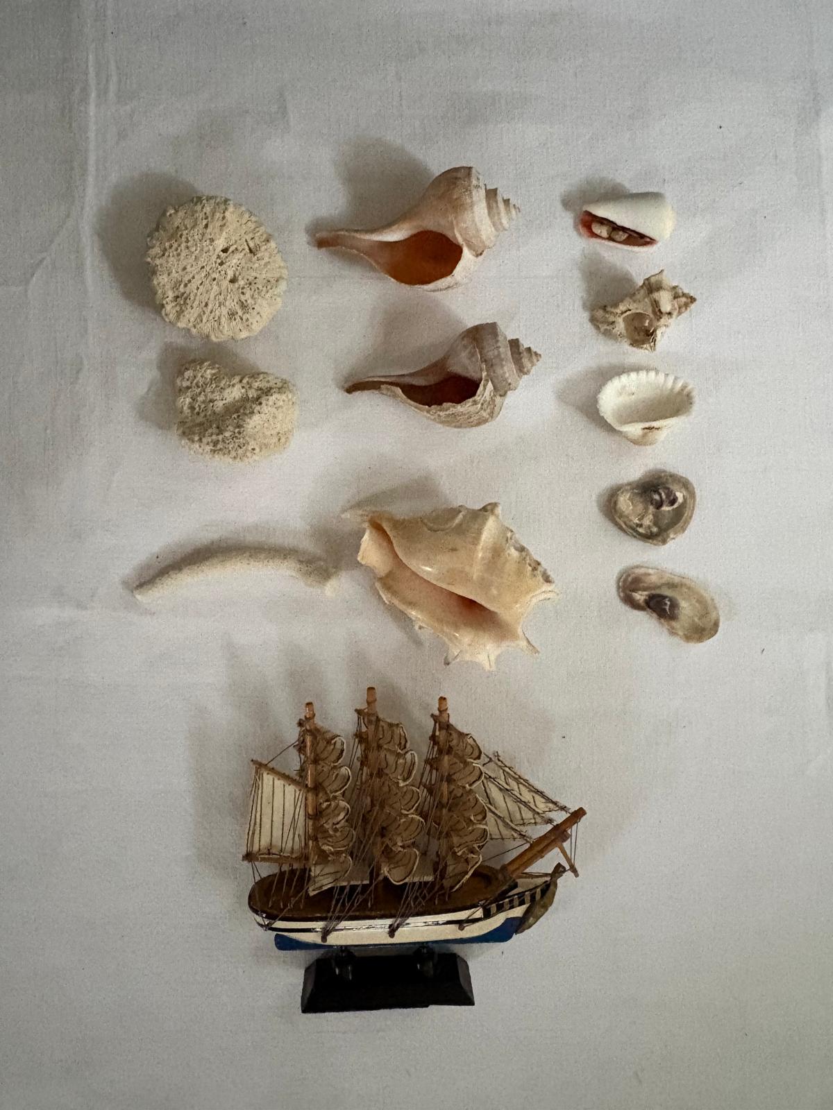 American Glass Battery Jar Display with  Simon Bolivar Model Ship & Shell Collection