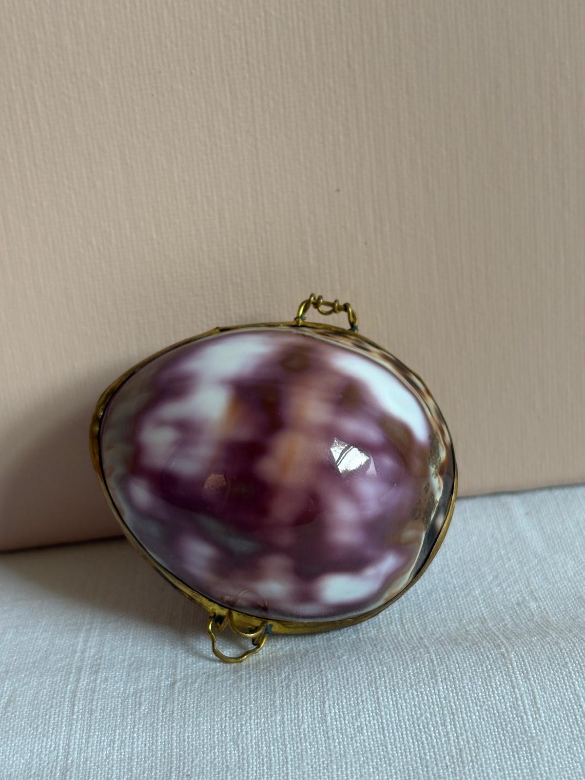 Cowrie Shell Hinged  Trinket Box with Brass Mount