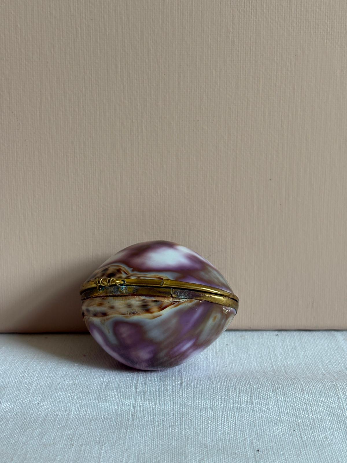 Cowrie Shell Hinged  Trinket Box with Brass Mount