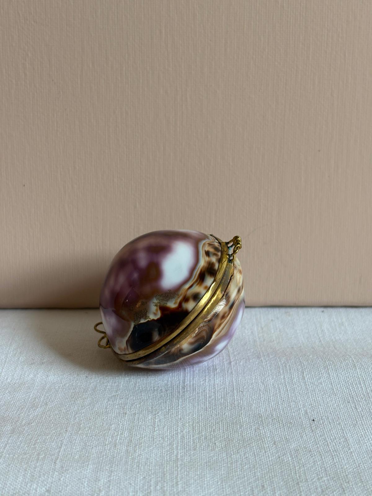 Cowrie Shell Hinged  Trinket Box with Brass Mount