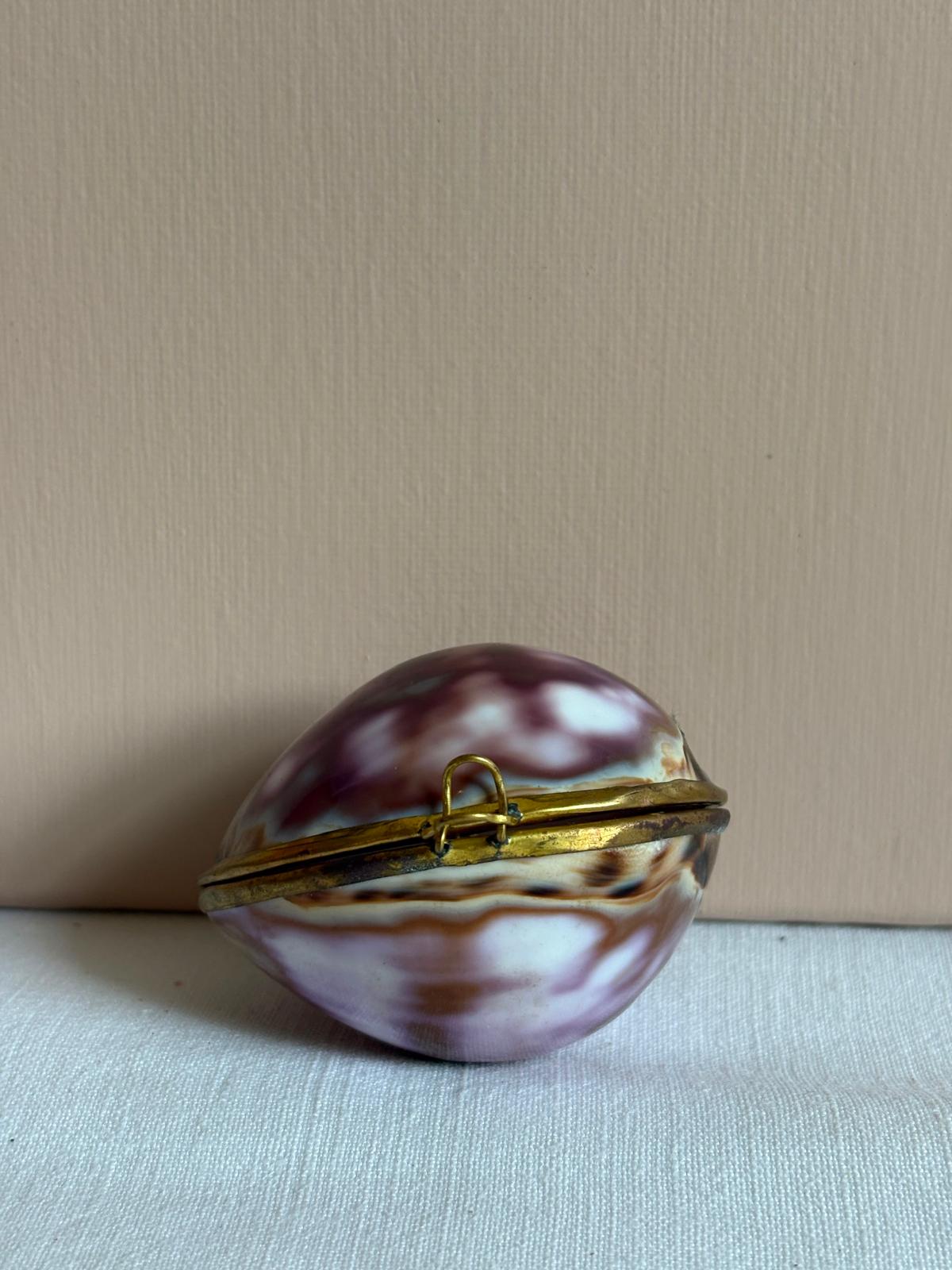 Cowrie Shell Hinged  Trinket Box with Brass Mount