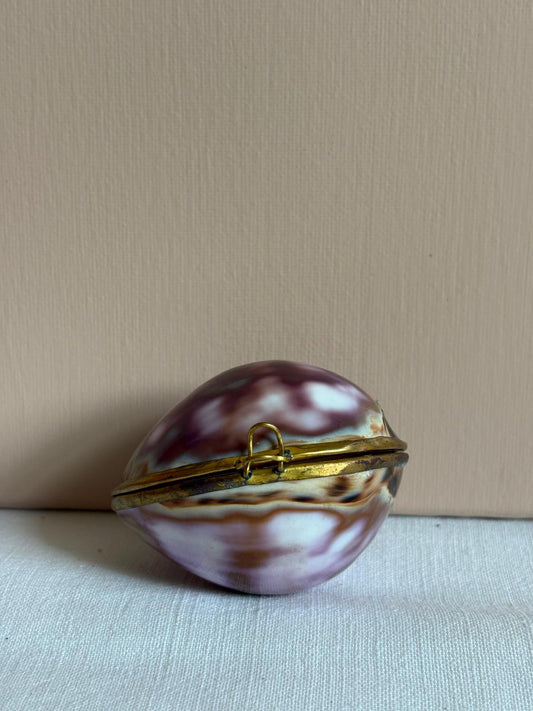 Cowrie Shell Hinged  Trinket Box with Brass Mount - Collector & Curator
