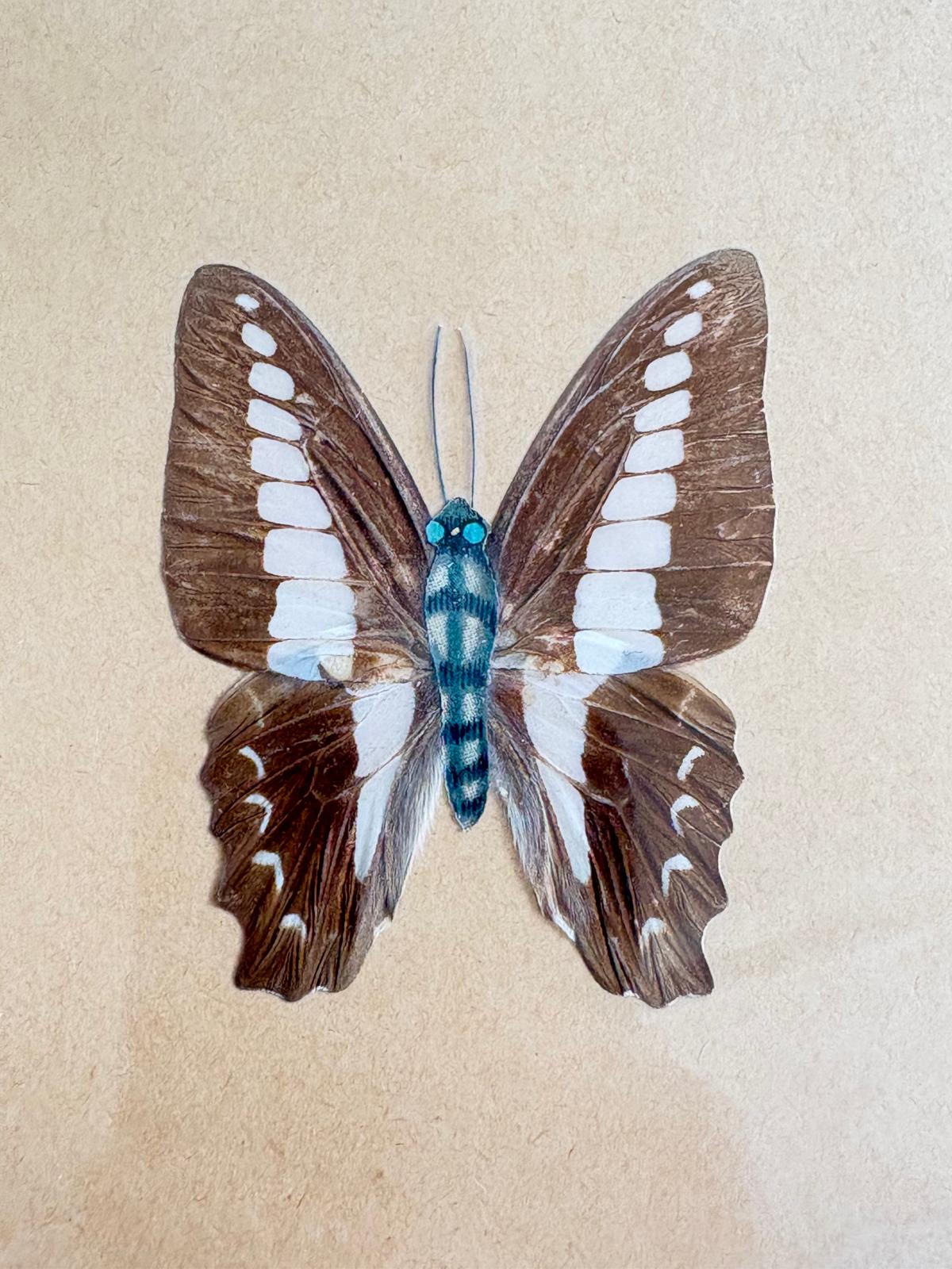 Vintage Framed Hand-Painted Butterfly Study