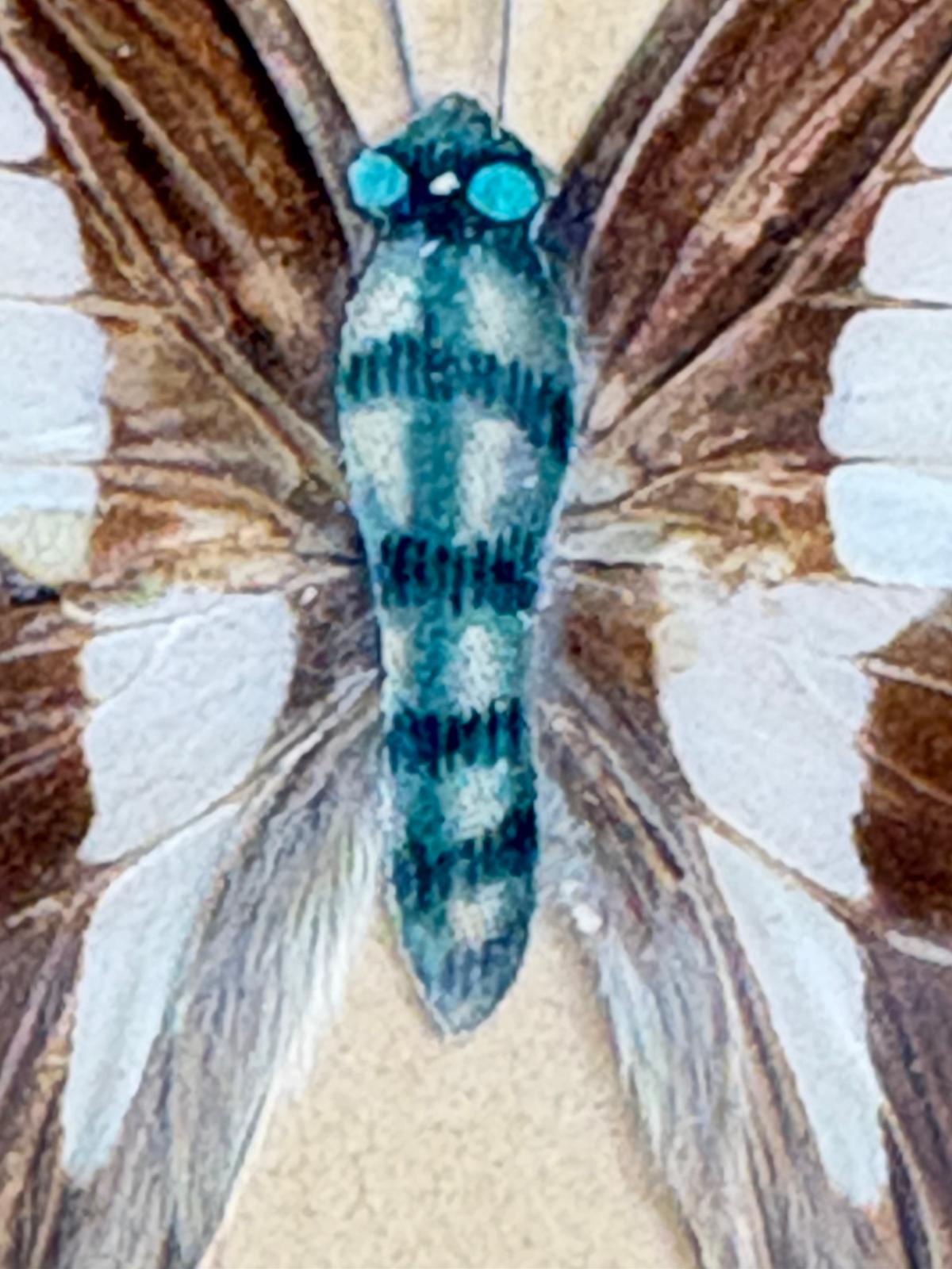 Vintage Framed Hand-Painted Butterfly Study