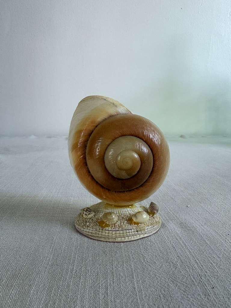 Impressionist Style Harbor Scene;  Vintage Green Majolica Scallop Shell Dish; Muffin Snail Sculpture; Vintage Salins France  Oyster Plate; Vintage Seashell Art Souvenir - Collector & Curator