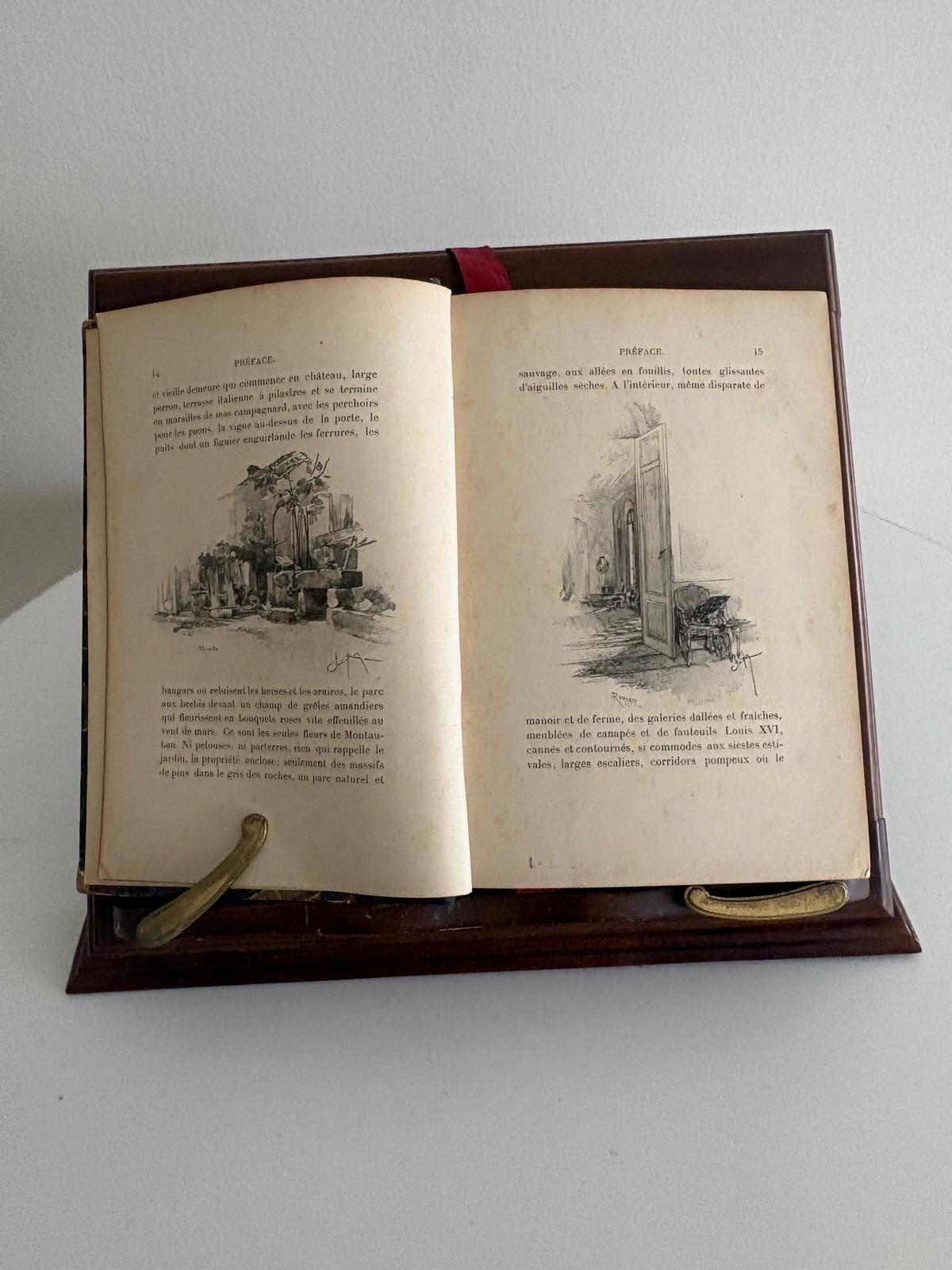 Antique French Illustrated Book "Lettres de Mon Moulin"  by Alphonse Daudet ; Flammarion Paris