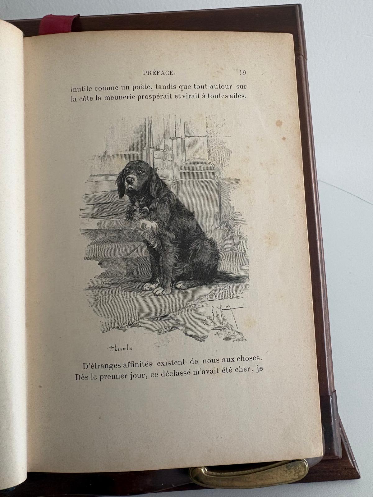 Antique French Illustrated Book "Lettres de Mon Moulin"  by Alphonse Daudet ; Flammarion Paris