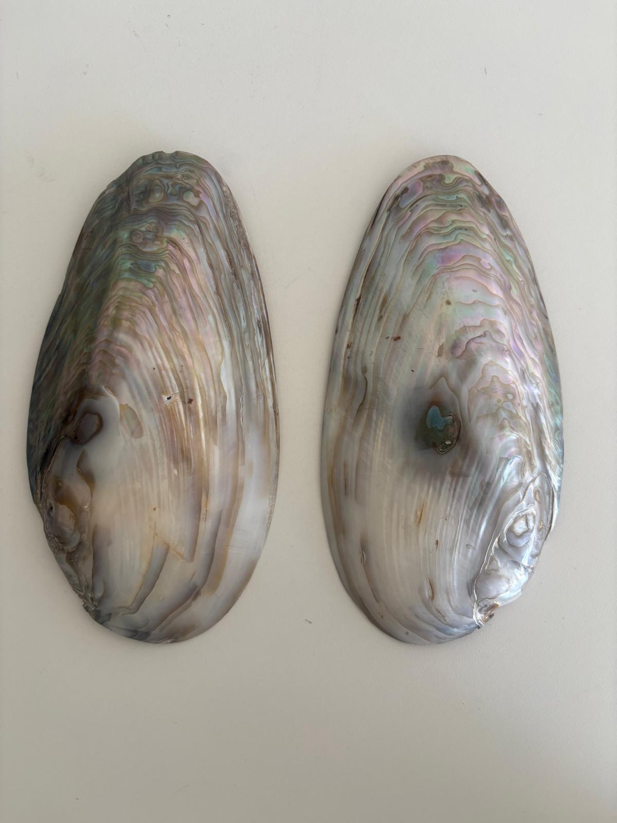 Antique French Hand Painted Mother-of-Pearl Shells /Veules-les-Roses Normandy Fisherman Pair
