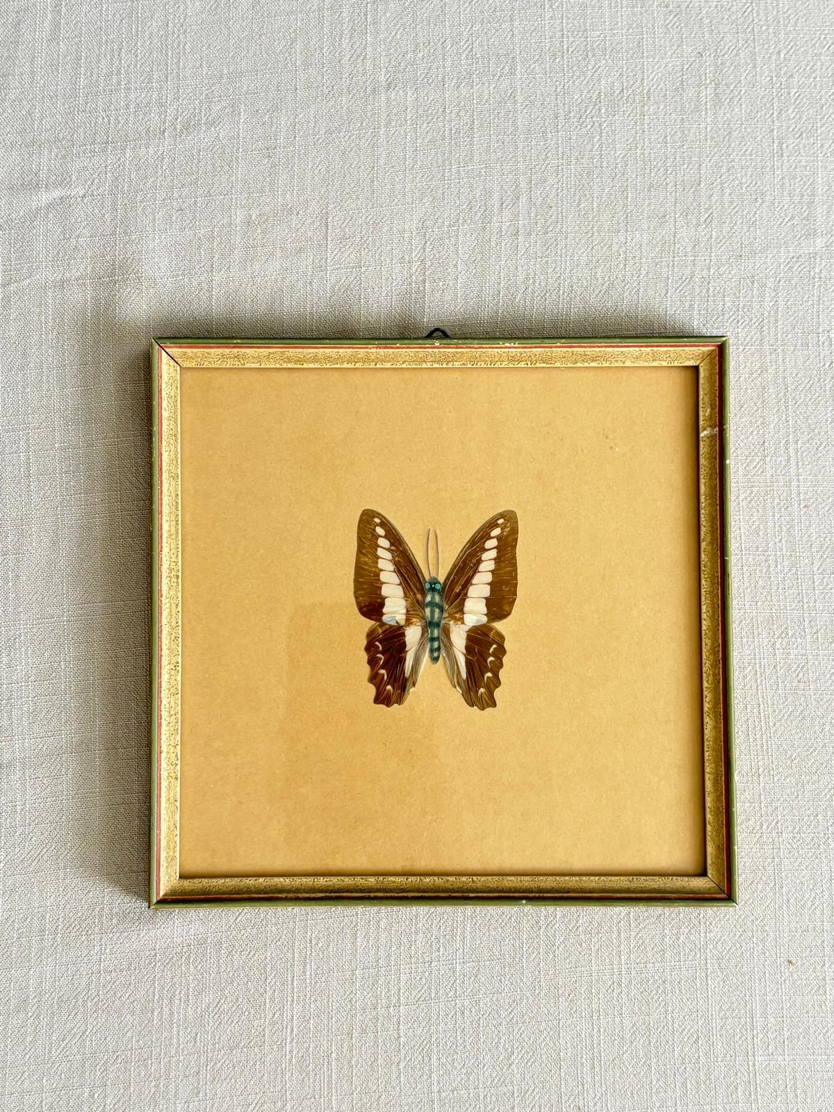 Vintage Framed Hand-Painted Butterfly Study